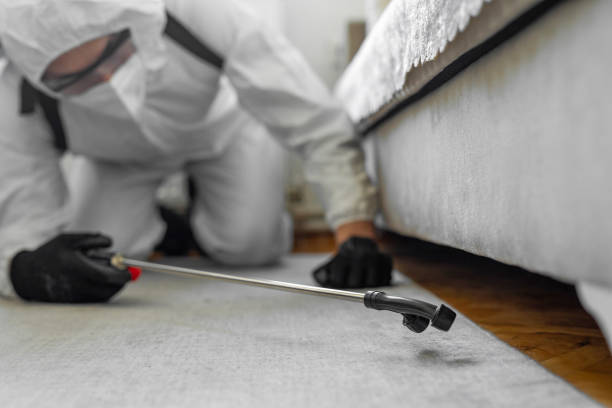 Professional Bed Bug Control technician working in Glenwood, GA