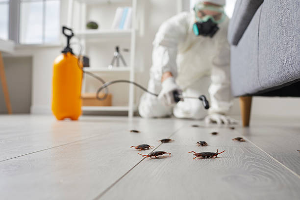 Trusted Cockroach Control service in Glenwood, GA - Nex Pest Control