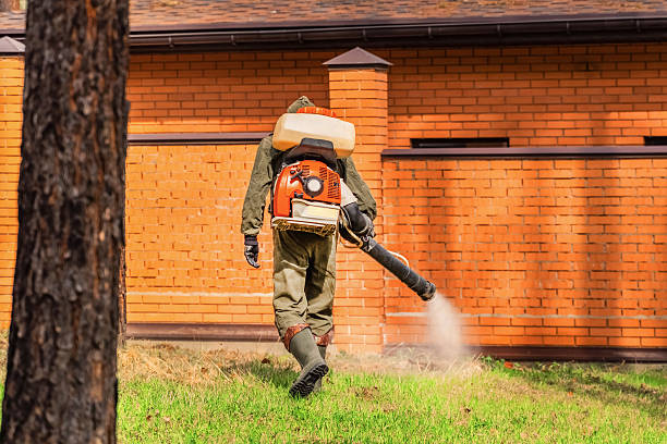 Trusted Ant Control service in Glenwood, GA - Nex Pest Control
